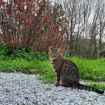 La Bergerie Villa Glénic Kültér fotó
